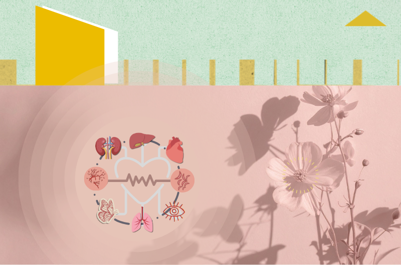 Gestión de la calidad asistencial para coordinadores de trasplantes: El programa de garantía de calidad del proceso de donación