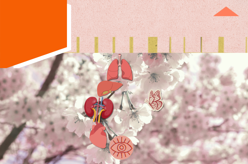 Cuidados paliativos y donación de órganos y tejidos